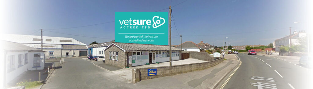Redruth Veterinary Surgery achieve Vetsure Accreditation.